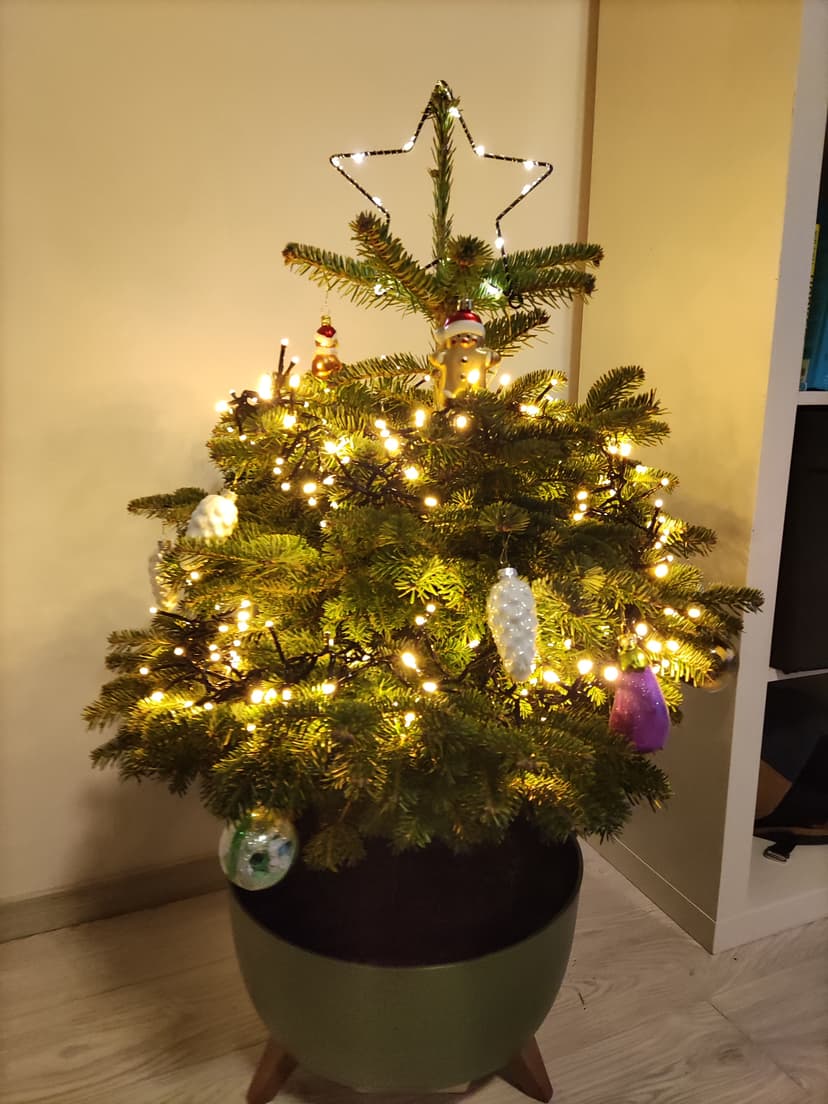 První vánoce
